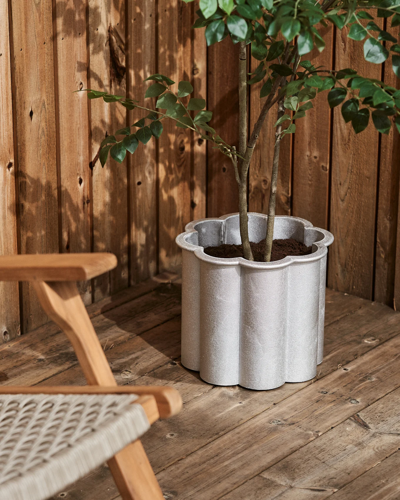 A corner of a patio with a plant in a light grey scalloped pot on a wooden floor, next to a wooden chair.