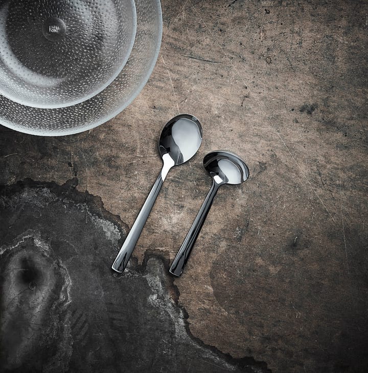 https://www.nordicnest.com/assets/blobs/aida-raw-serving-spoon-and-ladle-polished-stainless-steel/508881-01_2_EnvironmentImage-e20ecc8ac7.jpg?preset=tiny&dpr=2