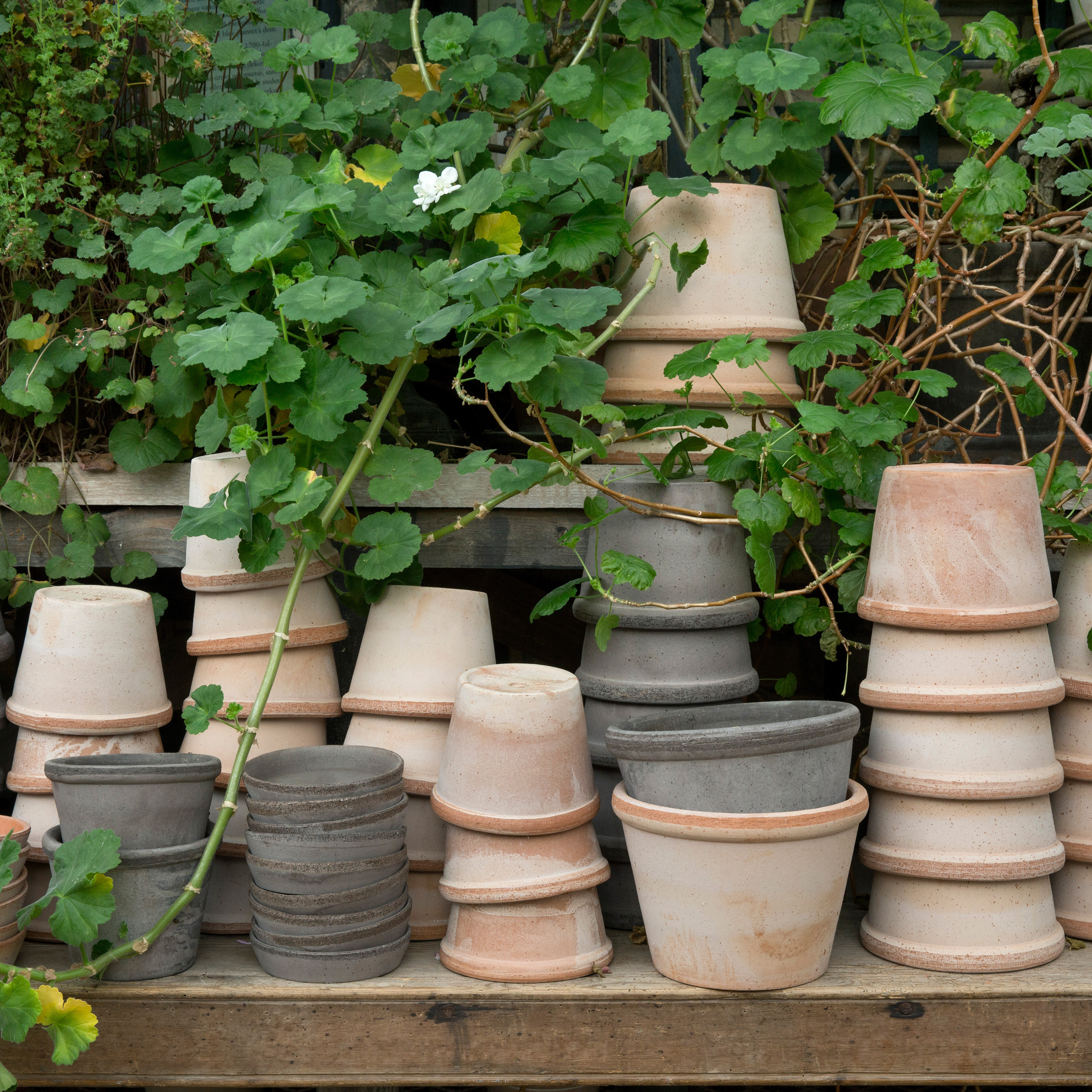 Plant pots deals canada