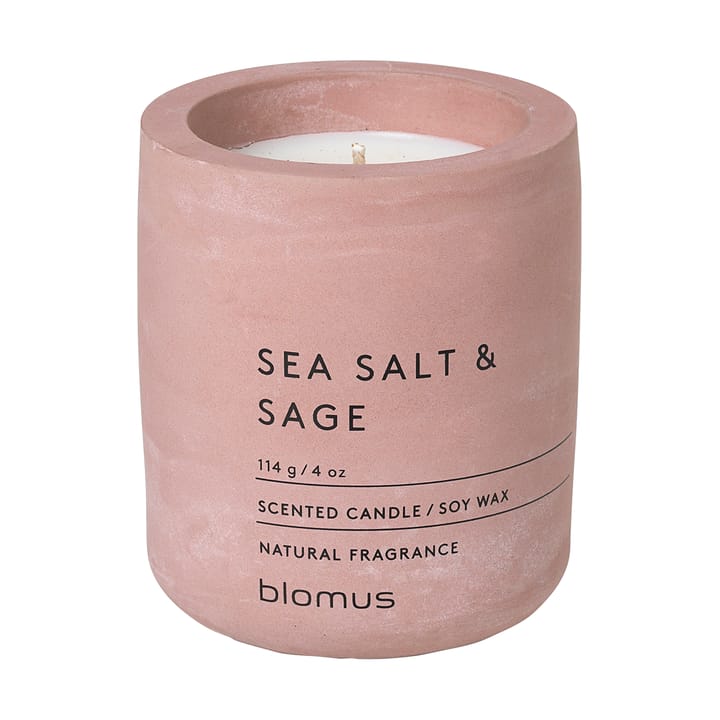 Fraga scented candles 24 hours, Sea salt & Sage-Withered Rose blomus