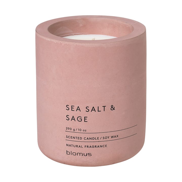 Fraga scented candles 55 hours - Sea salt & Sage-Withered Rose - Blomus