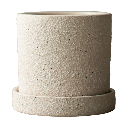 Grow pot Ø10 cm with saucer - Cream structure - DBKD