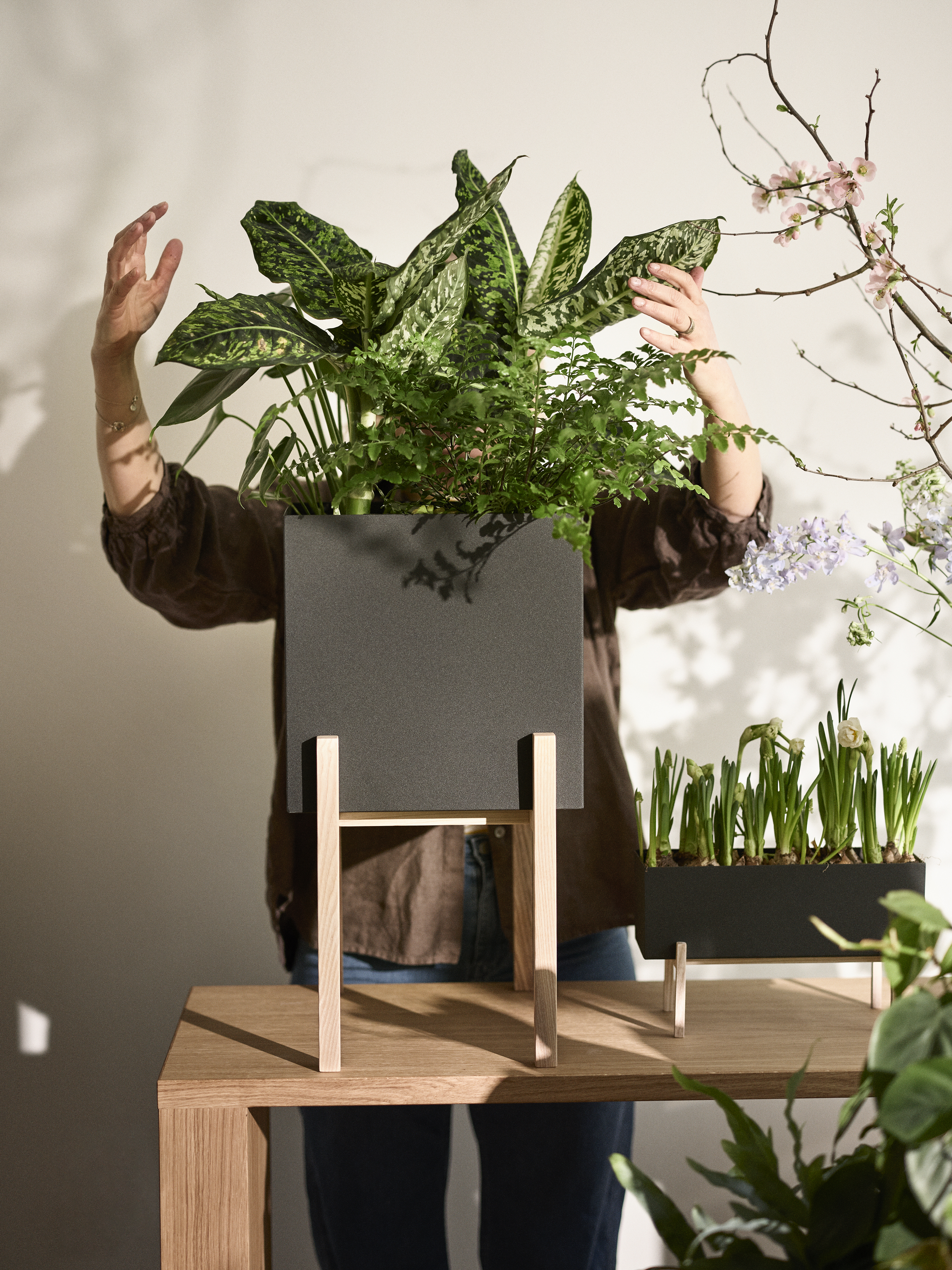 Vaso da fiori con piedistallo Botanic da Design House Stockholm →