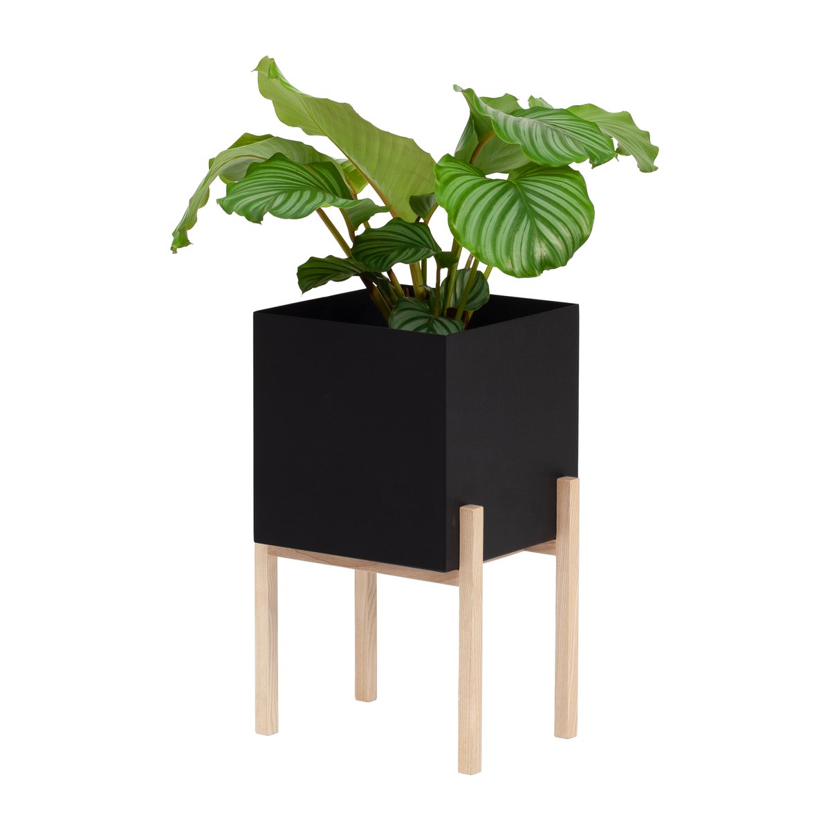 Design House Stockholm Botanic pedestal flower pot Black-box