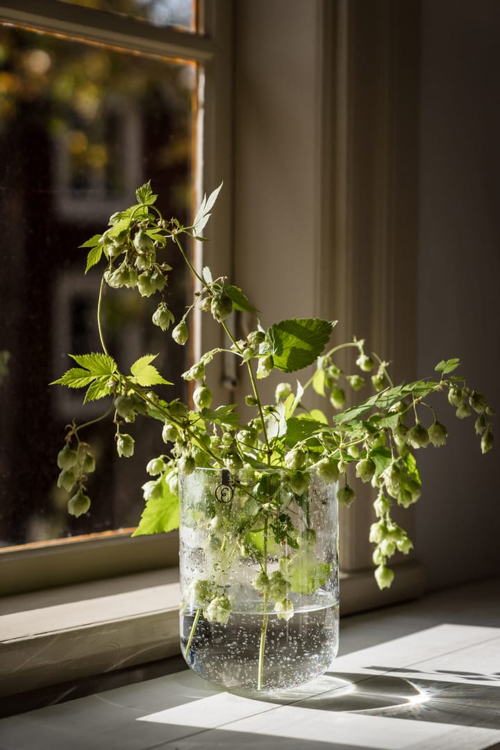 Ernst vase bubbly glass 18 cm, Clear ERNST