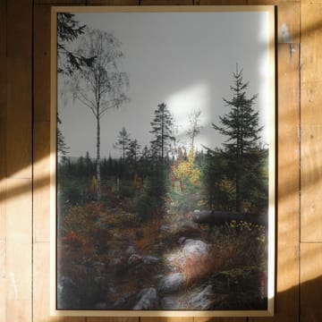 Norrland poster 50x70 cm from Fine Little Day - NordicNest.com