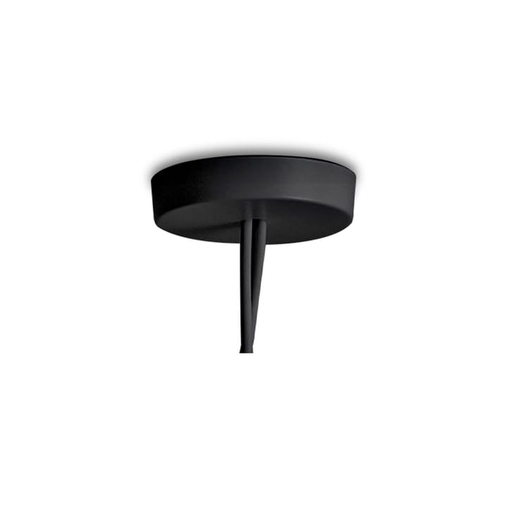 AIM multi-ceiling rose - Black - Flos