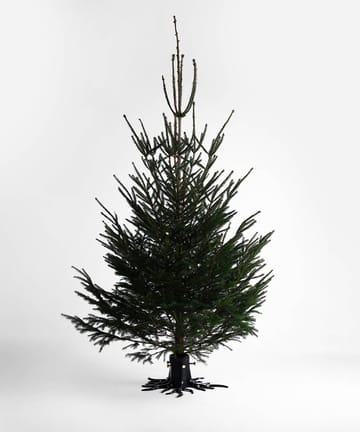 Garden Glory Christmas tree stand - Black matte - Garden Glory