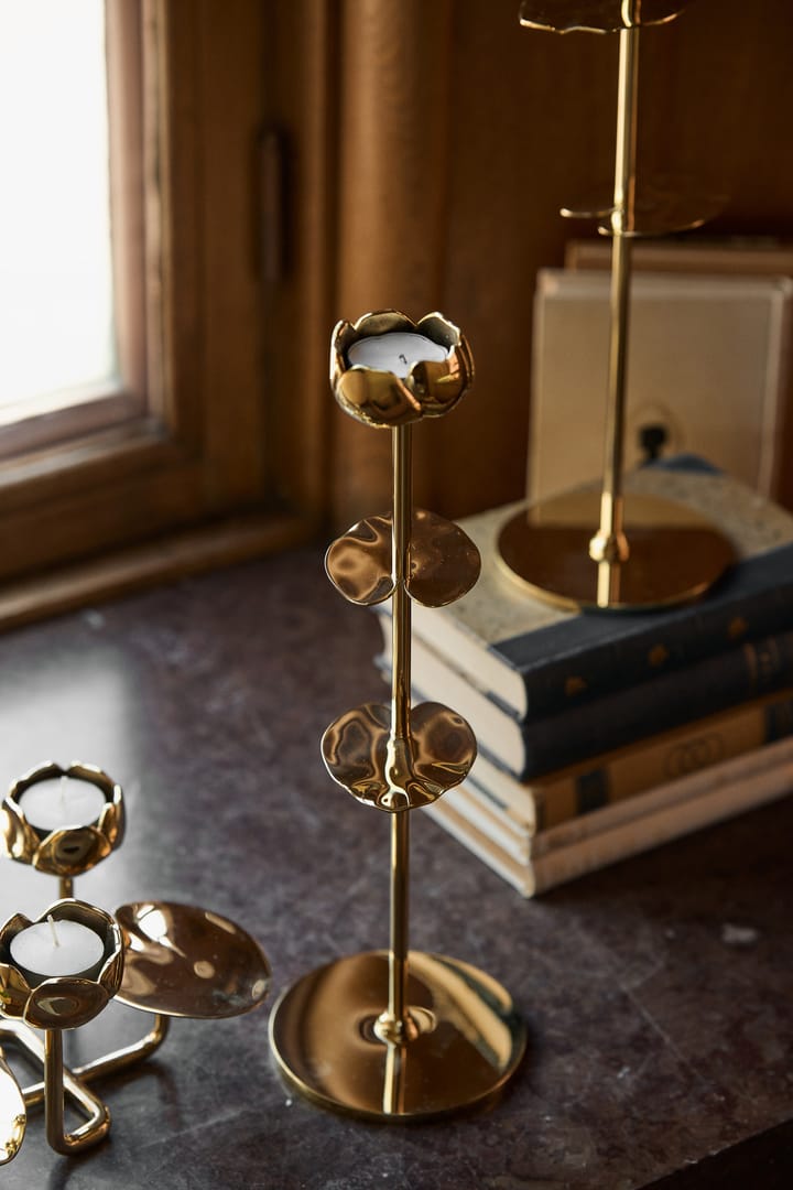 Ninfea grande candlestick, Brass Hilke Collection