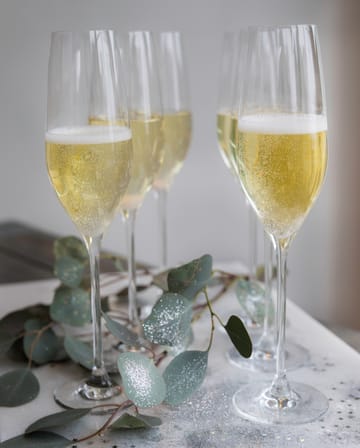 https://www.nordicnest.com/assets/blobs/holmegaard-cabernet-champagne-glass-29-cl-6-pack-clear/507162-01_4_EnvironmentImage-9fc89098df.jpeg?preset=thumb&dpr=2