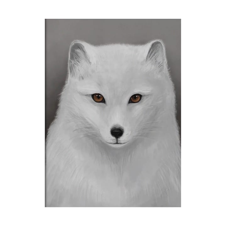 Arctic fox poster - 30x40 cm - Kunskapstavlan®