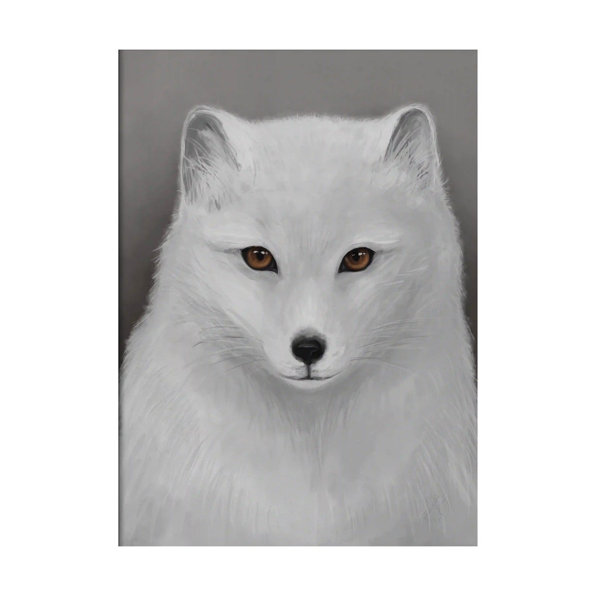 Kunskapstavlan Arctic fox poster 30x40 cm | Scandinavian Design | Posters | Multi