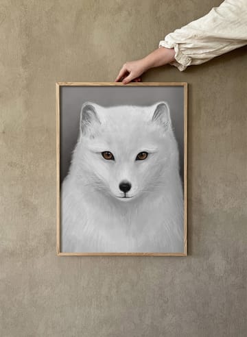 Arctic fox poster - 30x40 cm - Kunskapstavlan®