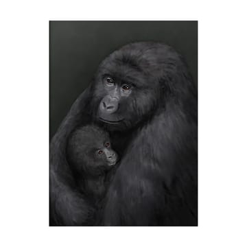 Mountain gorilla poster - 30x40 cm - Kunskapstavlan®