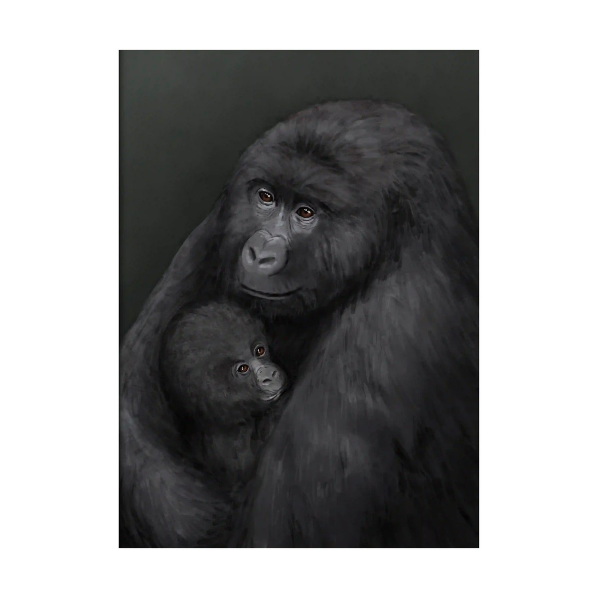 Kunskapstavlan Mountain gorilla poster 50x70 cm | Scandinavian Design | Posters | Multi