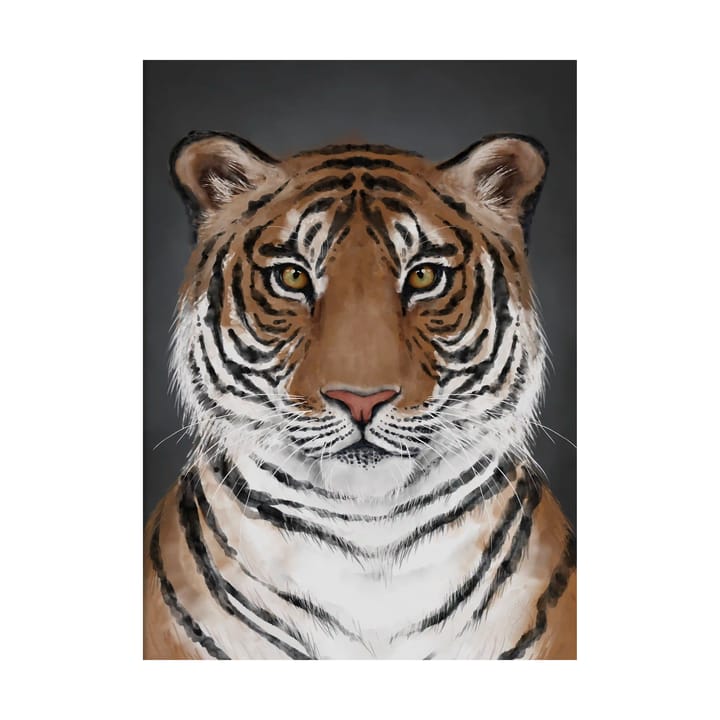 Tiger poster - 50x70 cm - Kunskapstavlan®