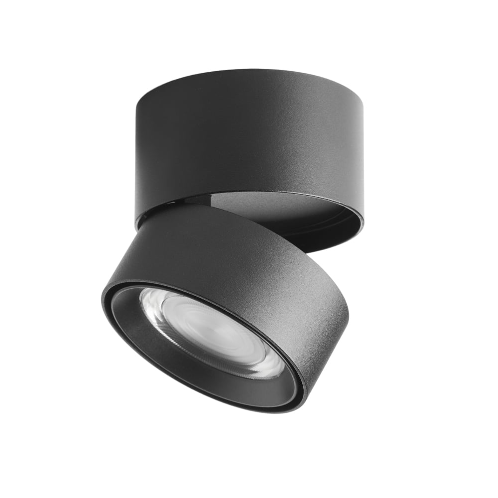 Loom Design Ray Spot spotlight Black