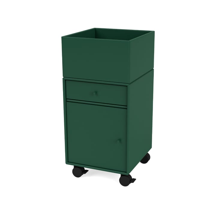 Runner trolley, Pine 136 Montana