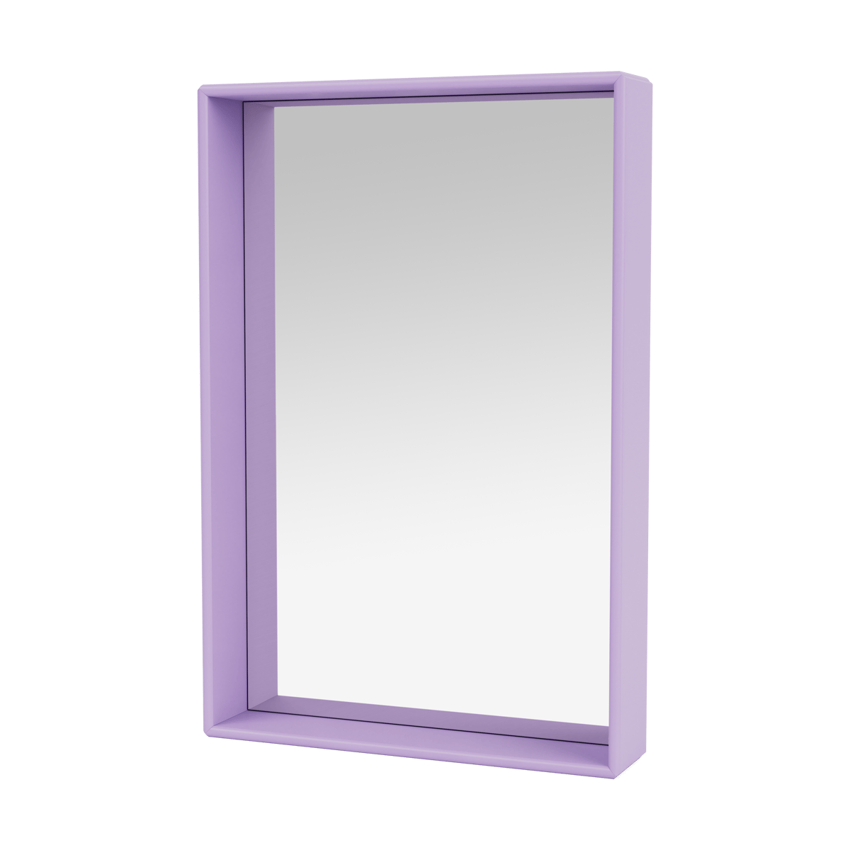 Montana Shelfie colour frame mirror 46.8x69.6 cm Iris