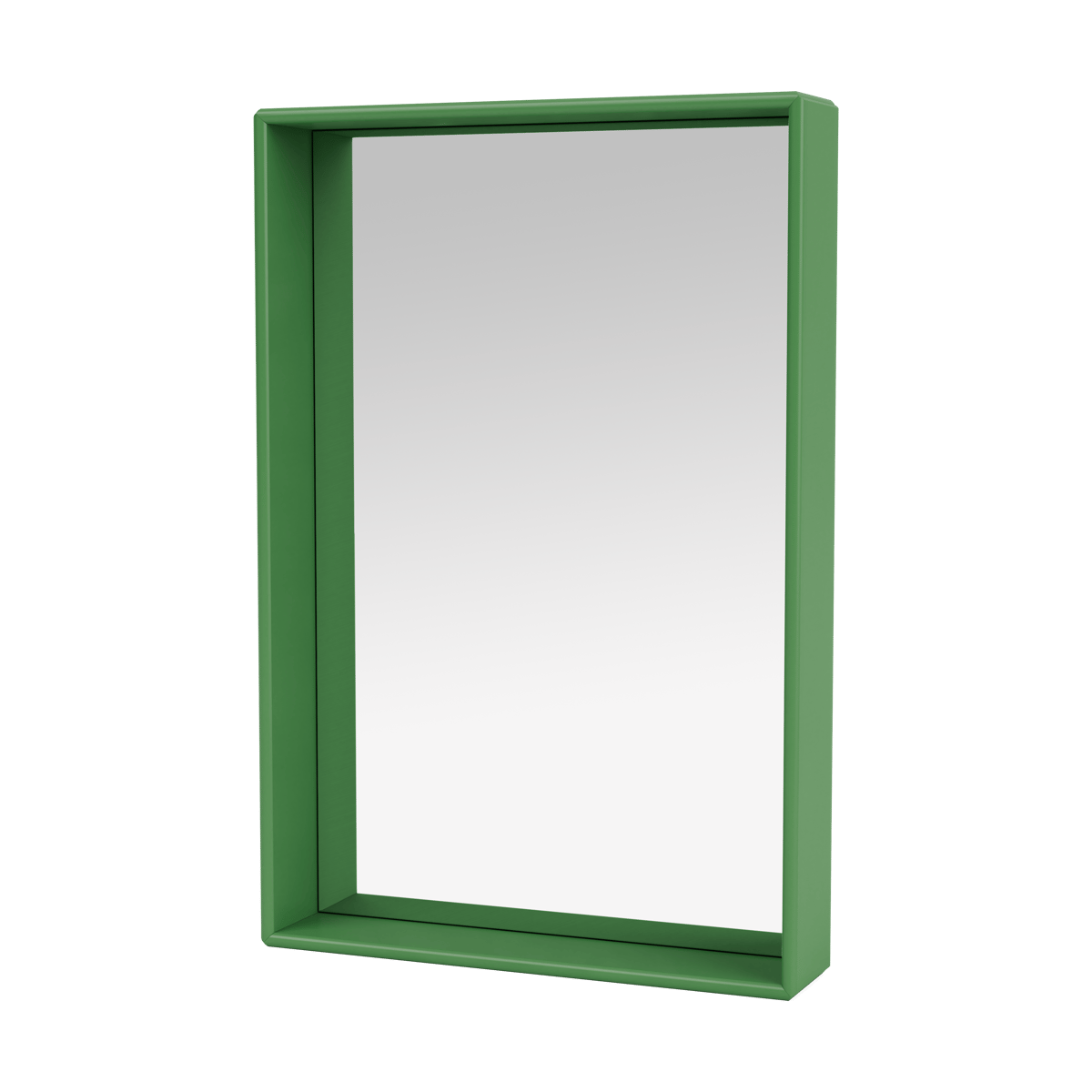 Montana Shelfie colour frame mirror 46.8x69.6 cm Parsley