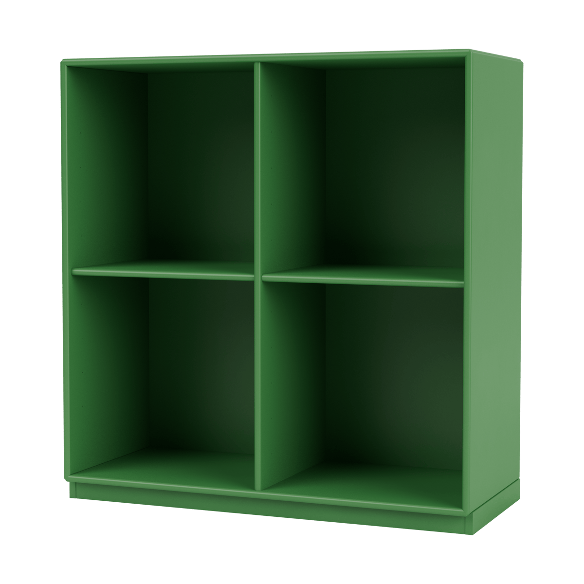 Montana SHOW shelf 69.6x69.6 cm. socket 3 cm 152-Parsley