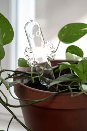 Hattifattener watering glass - Transparent - Muurla