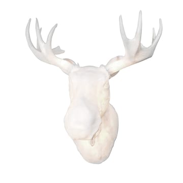 Moo wall lamp - White - Northern