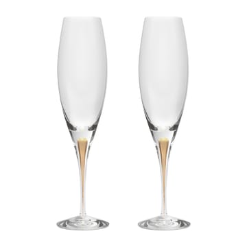 Intermezzo champagne glass 26 cl 2-pack - Gold - Orrefors