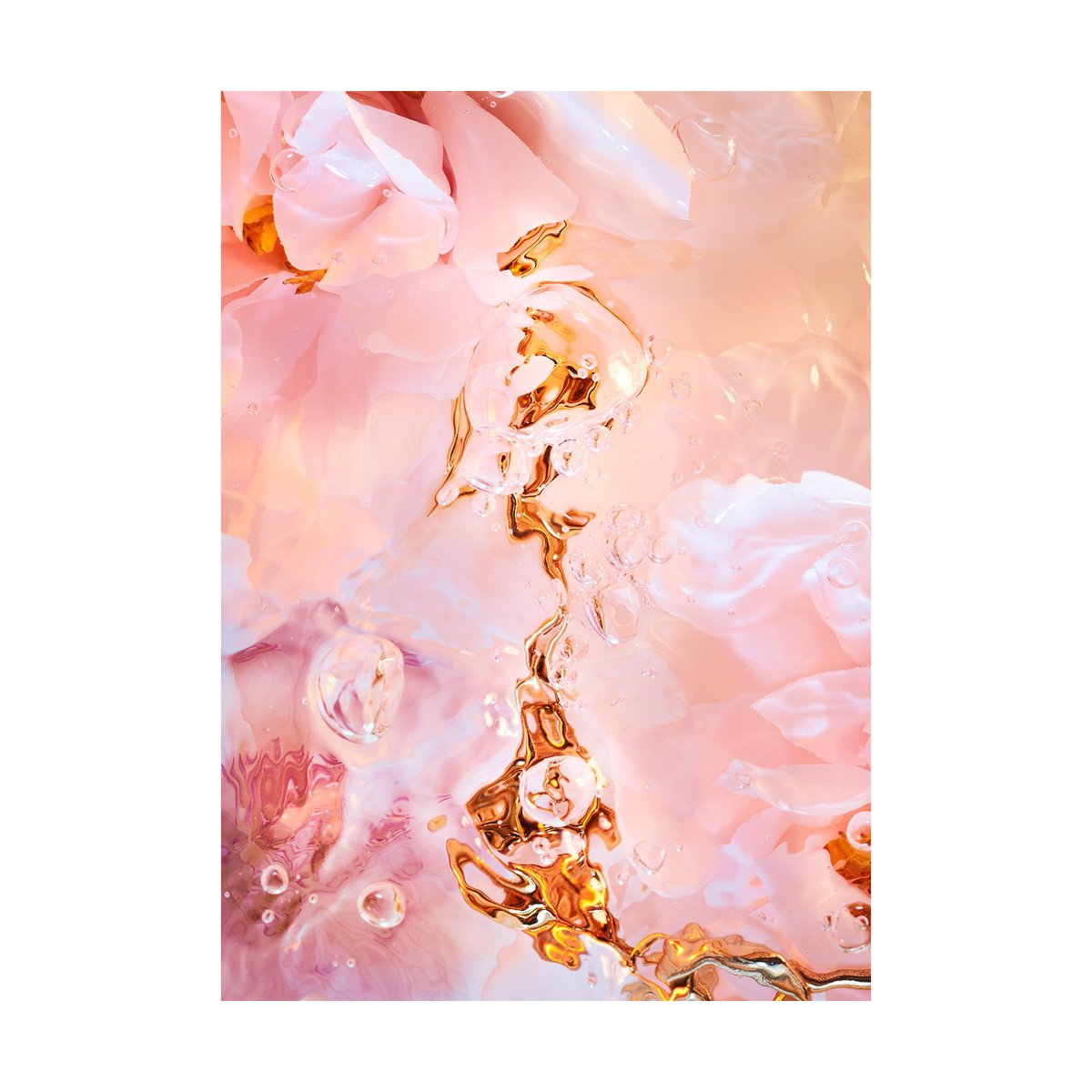 Paper Collective Flora Aquatica 02 poster 50x70 cm | Scandinavian Design | Posters | Pink