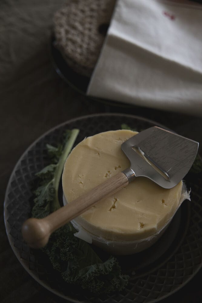 Nature cheese slicer - Oak - Sagaform