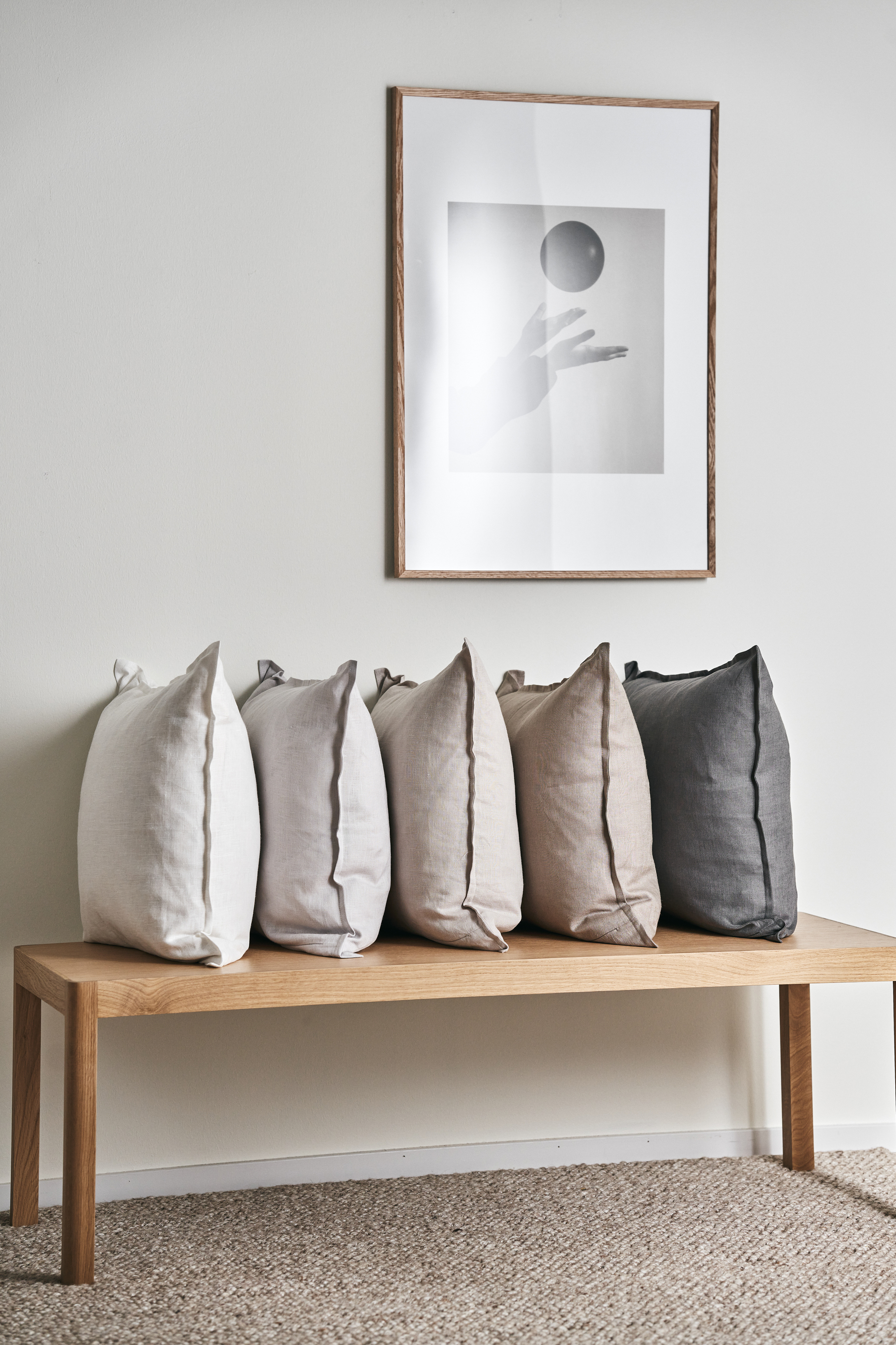 Living room pillow outlet cases