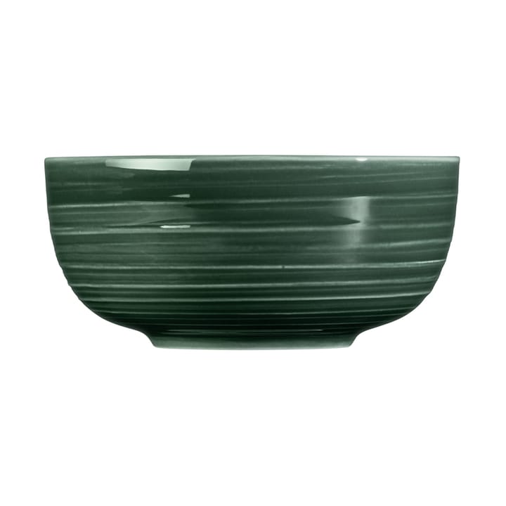 Terra bowl Ø15 cm 4-pack, Moss Green Seltmann Weiden