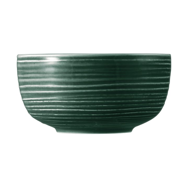 Terra bowl Ø17.7 cm 2-pack, Moss Green Seltmann Weiden