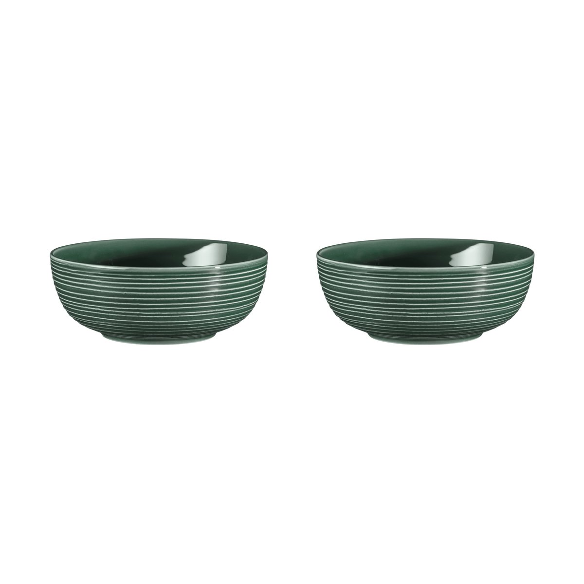 Seltmann Weiden Terra bowl Ø20.4 cm 2-pack Moss Green