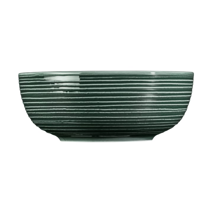 Terra bowl Ø20.4 cm 2-pack, Moss Green Seltmann Weiden