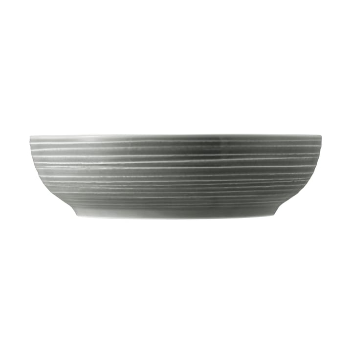 Terra bowl Ø25.5 cm 2-pack, Pearl Grey Seltmann Weiden