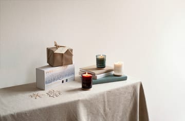 Nordic Winter scented candle gift set 3 parts - 65 g - Skandinavisk