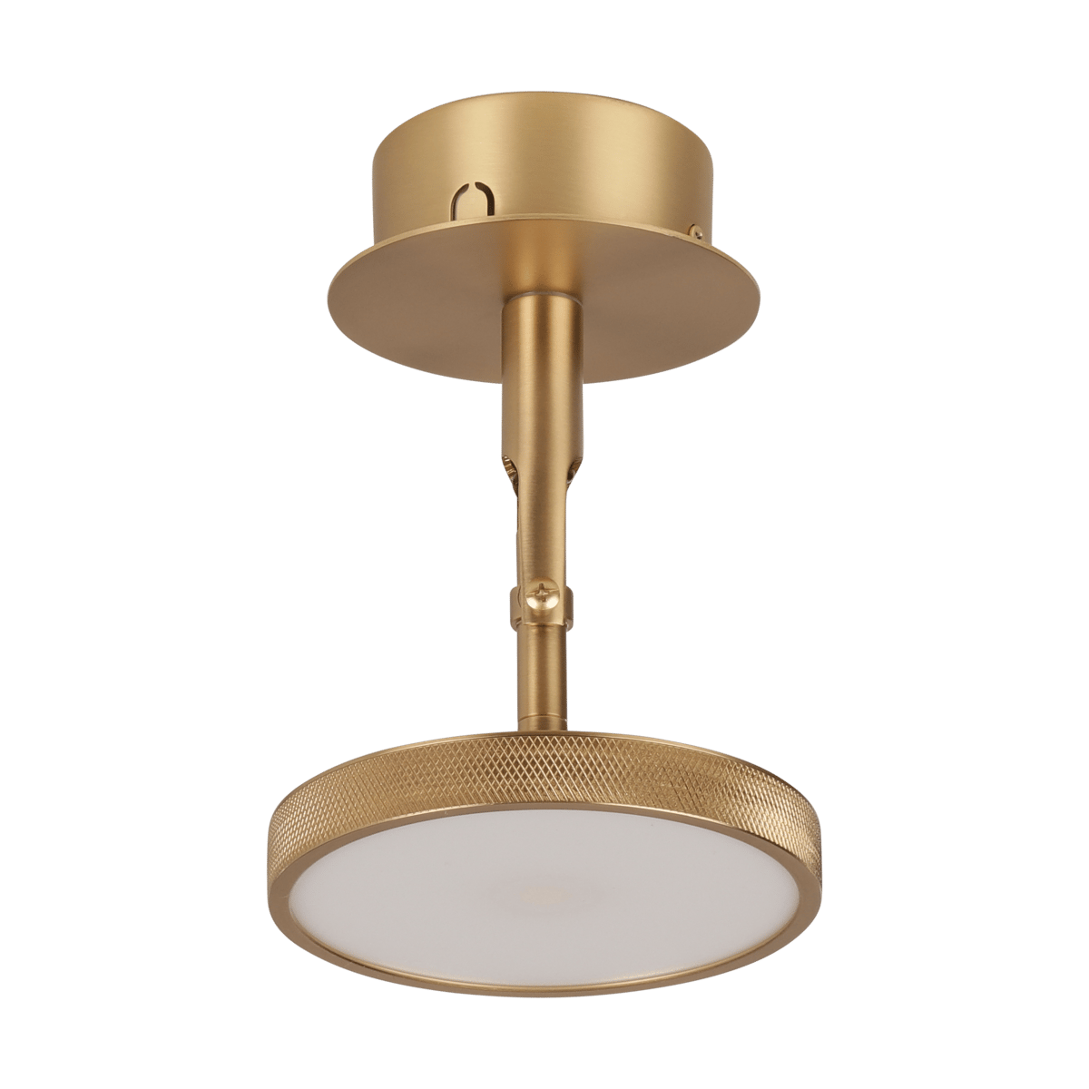 Umage Asteria Spot ceiling and wall lamp Ø12 cm Polished brass