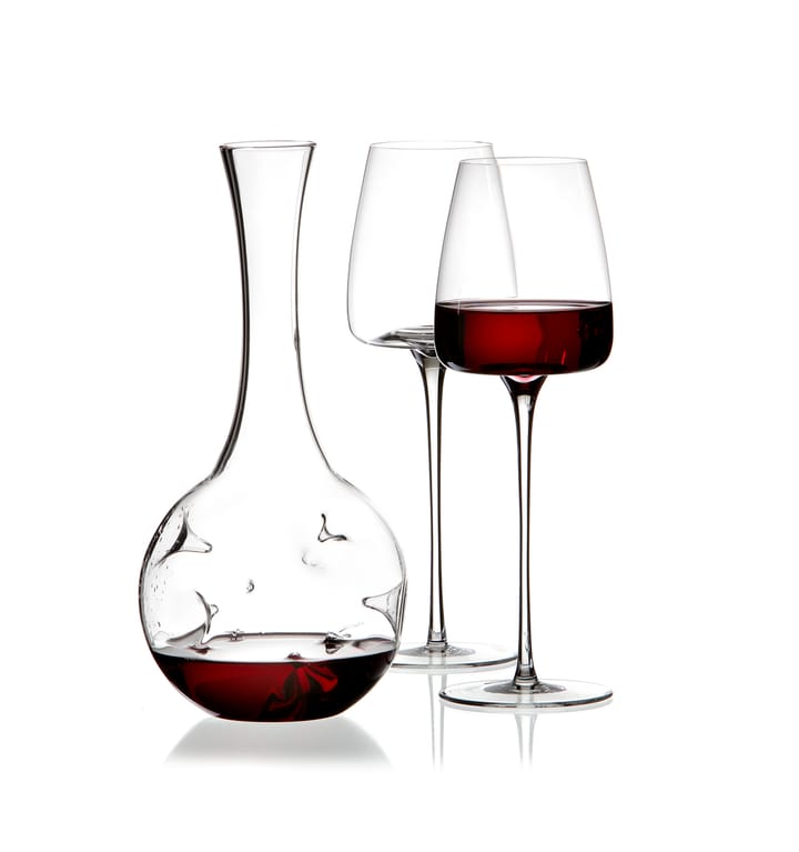 Eddy mini decanter set-Vision Straight wine glasses 2-pack from Zieher ...