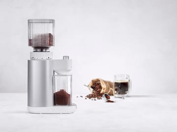 Zwilling coffee grinder 37.5 cm - Silver - Zwilling