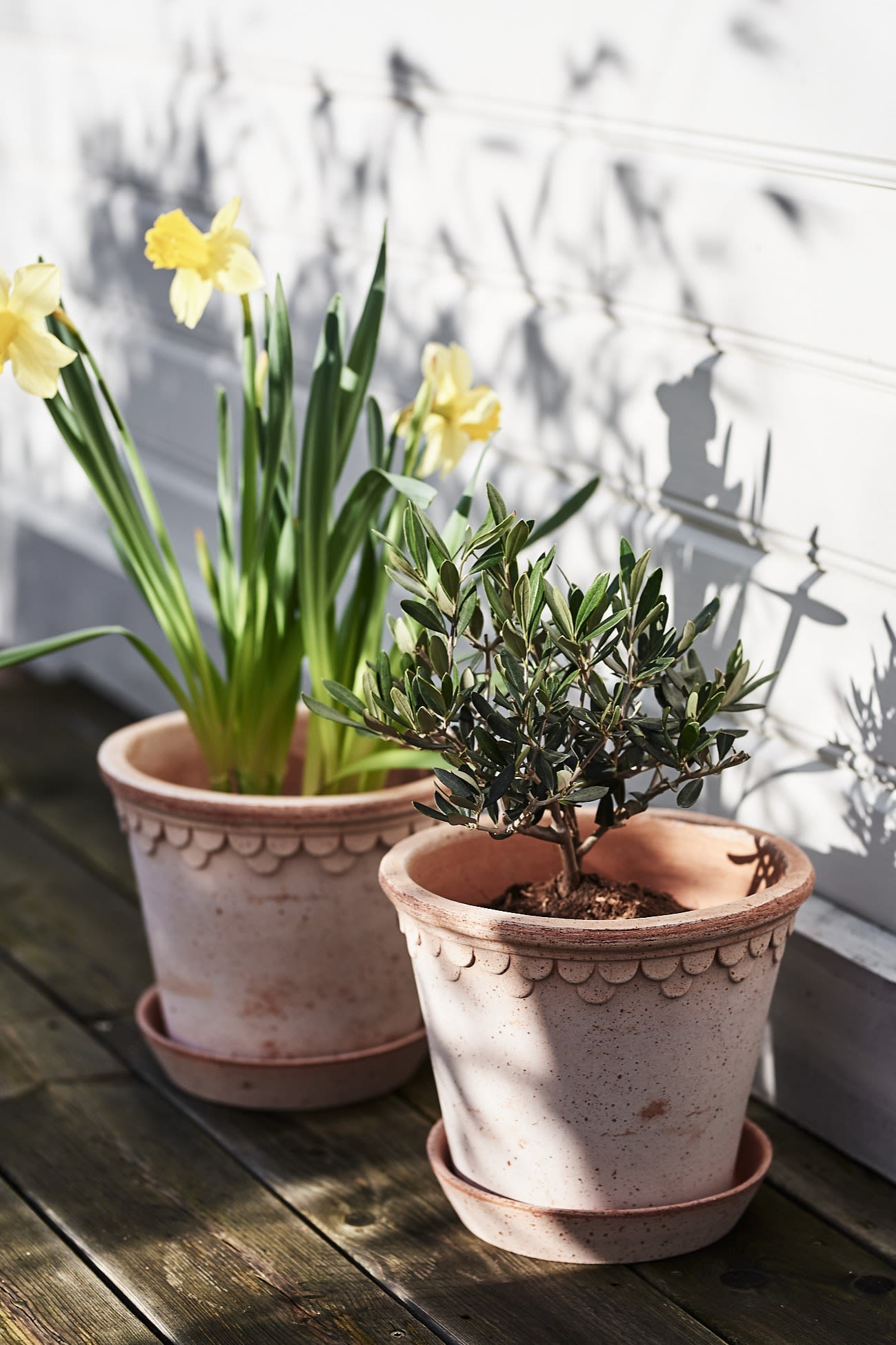 Spring awakening: Here you can see early bloomers in ceramic pots from Bergs Potter on a terrace.