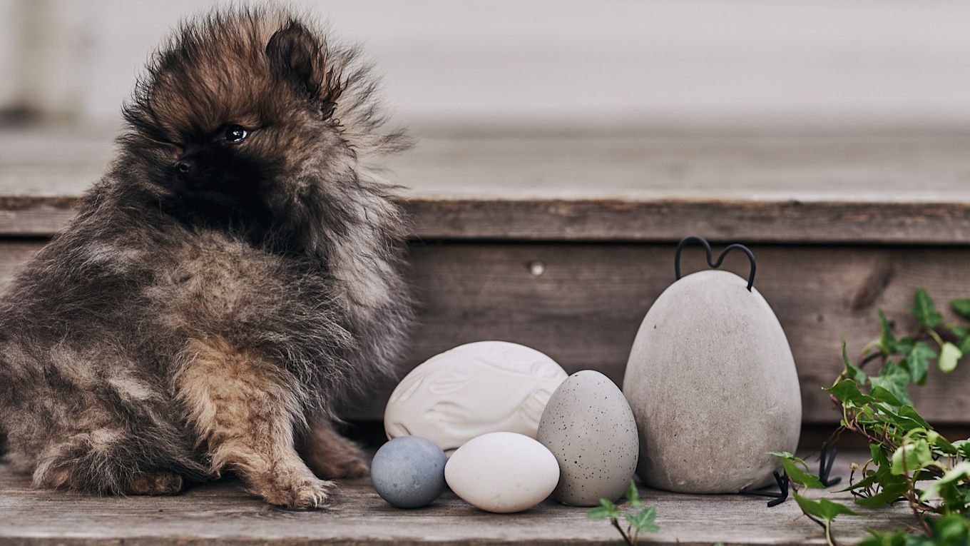 How to organise an egg hunt with clues this Easter - a blue egg is hidden among decorative eggs on the stairs as part of an egg hunt at Easter.