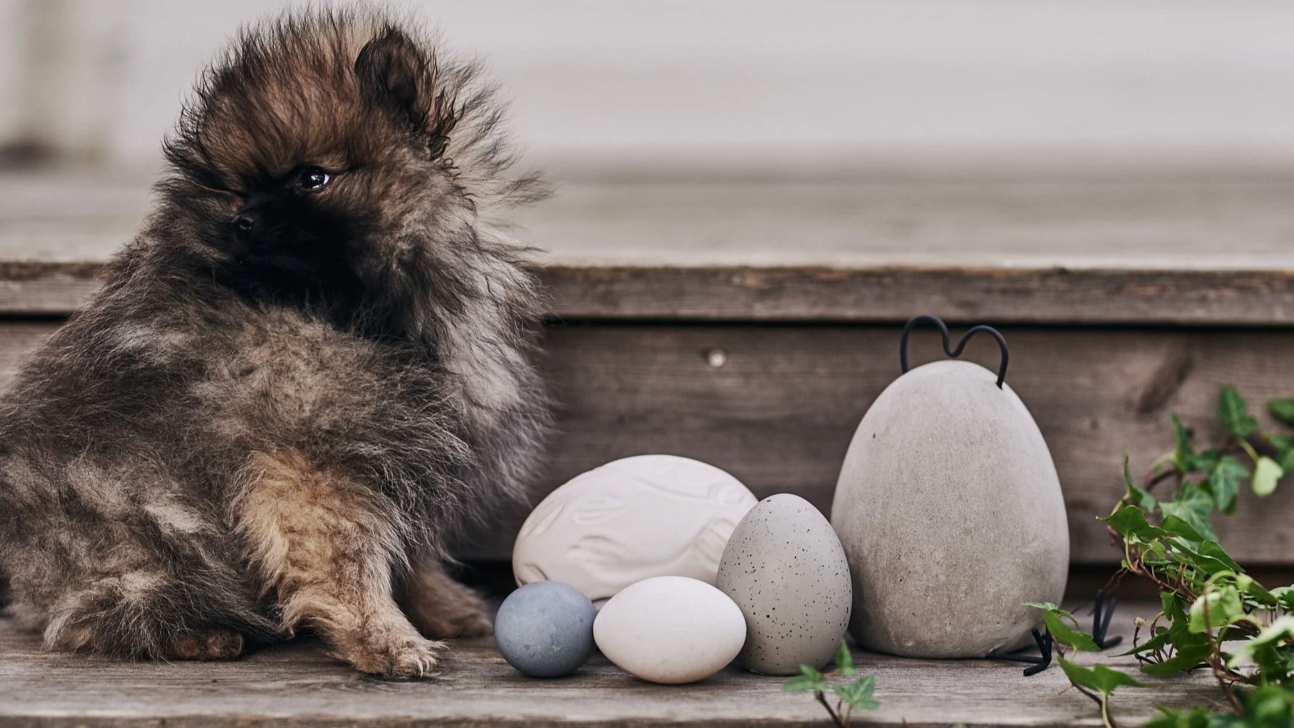 How to organise an egg hunt with clues this Easter - a blue egg is hidden among decorative eggs on the stairs as part of an egg hunt at Easter.