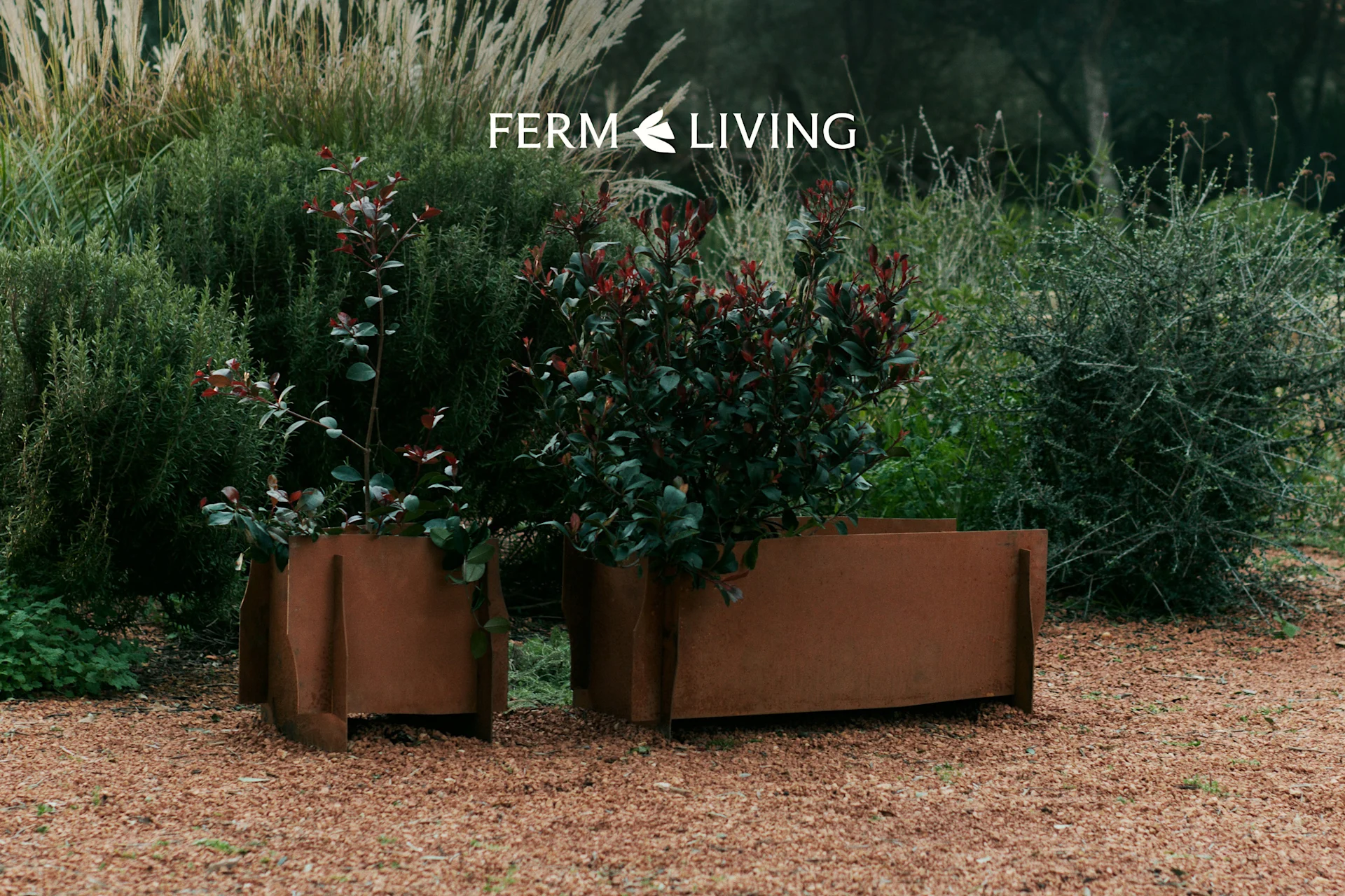 Two weathered metal planters hold plants with green and red leaves, set on reddish gravel in a lush garden. 'FERM LIVING' logo.