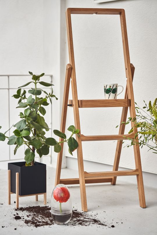 Design House Stockholm Interview Nordic Nest Step Ladder Mini Terranium ?preset=tiny&dpr=1.5
