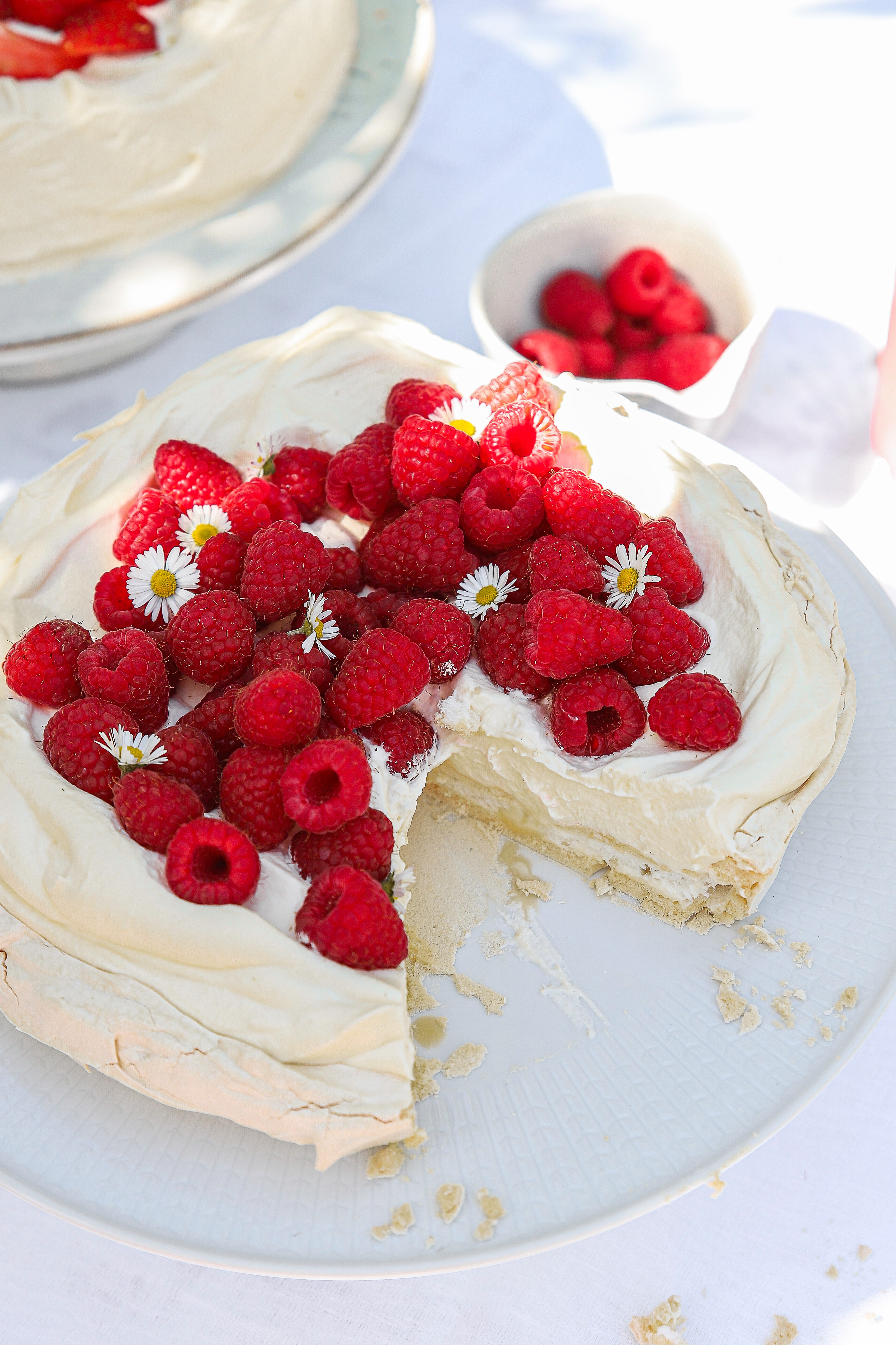 Easy Summer Birthday Cake Ideas-Betty Crocker – Parsnips and Parsimony