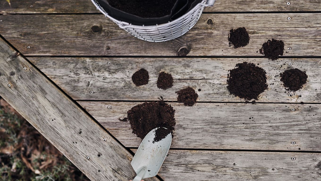 Paw prints in soil are used as a clue for children to find eggs for an Easter egg hunt in the garden.