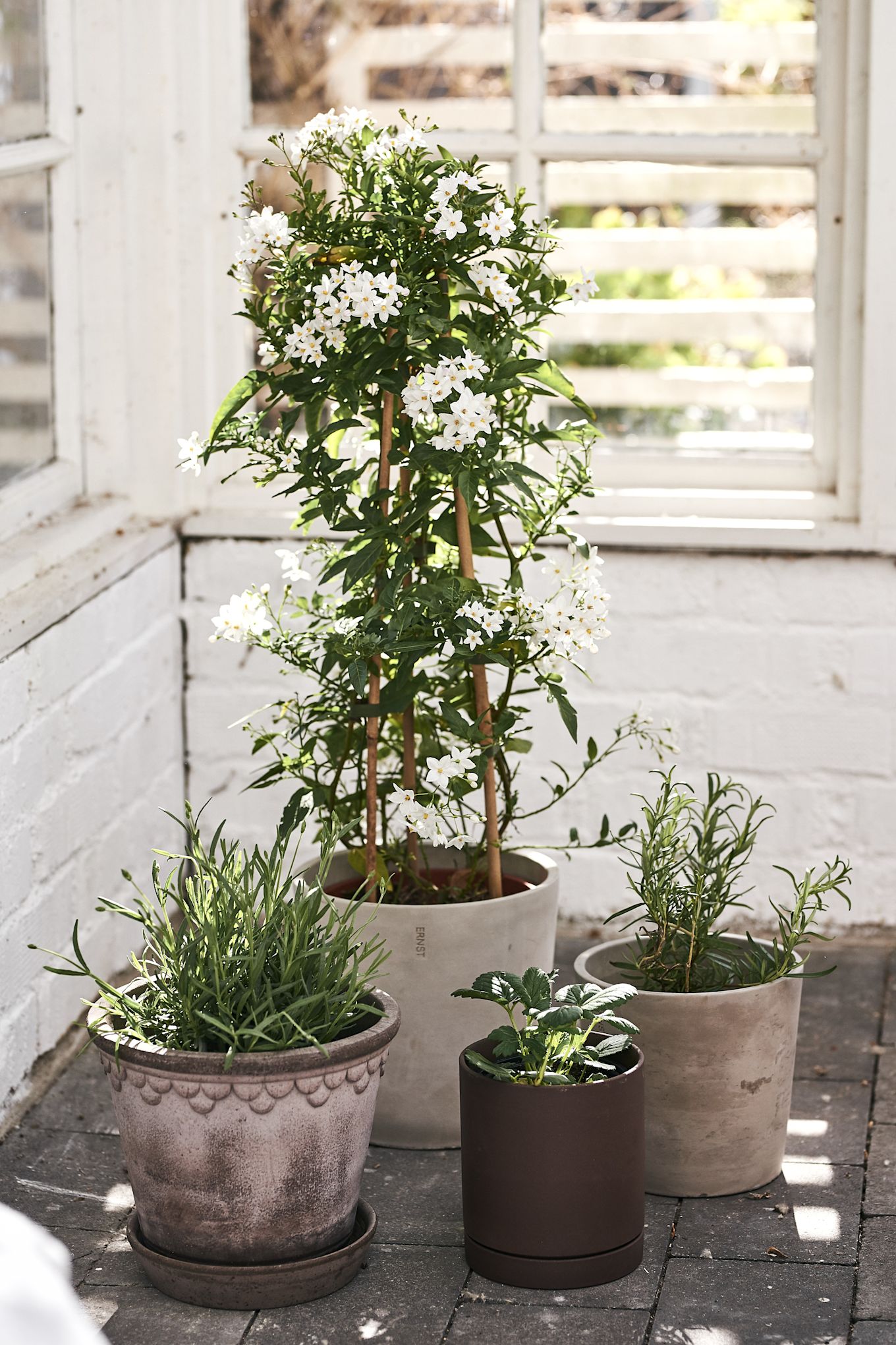 Rustic pots from Bergs Potter, Ernst and Ferm Living make the perfect additions to your Mediterranean decor.