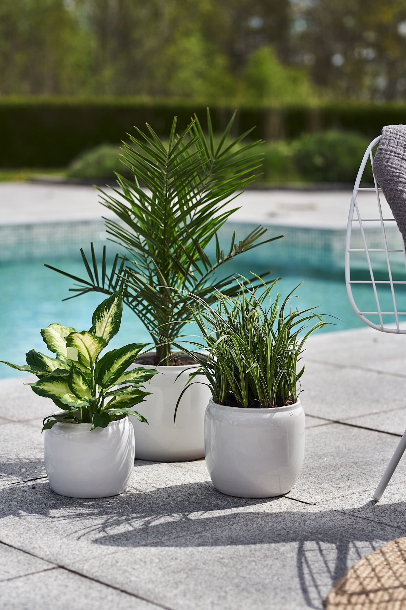 White glazed pots from Ernst bring to mind thoughts of the Mediterranean, inside and out.