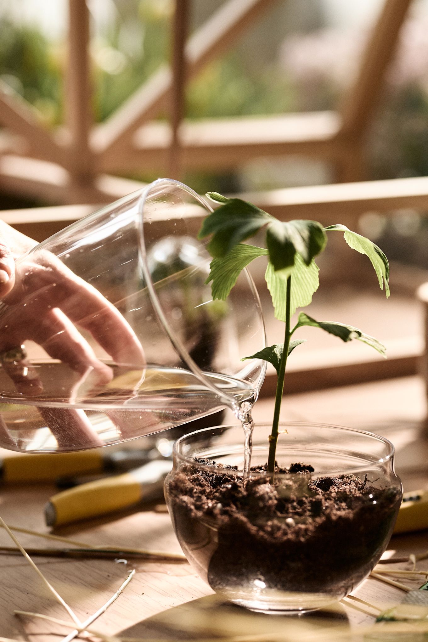 The Grow planter in medium from Design House Stockholm where the lid doubles as a watering can! 